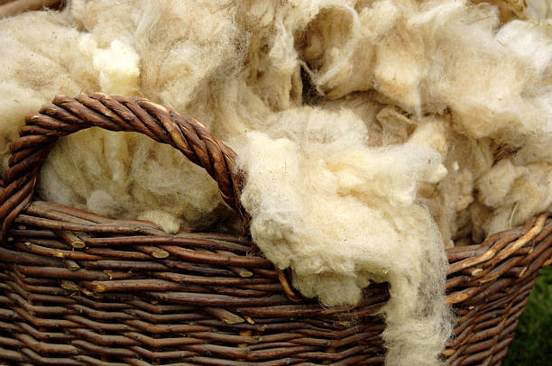 Wool