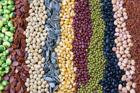 Agricultural Crops 