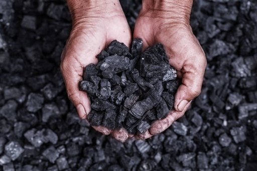 [Raw0002] Coal