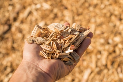 [Raw0008] Timber 