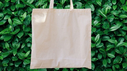Eco-Friendly Bags