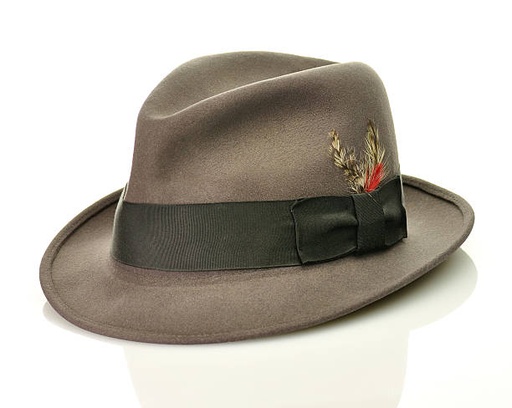 Fedora