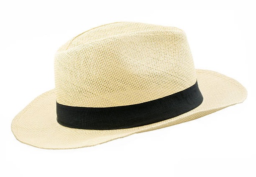 Panama Hat