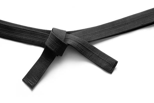 Sports Belt