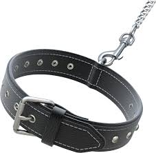 [LBP1164] Leather Dog Collar